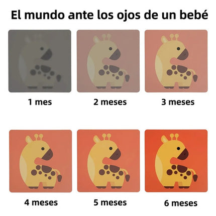 Tarjetas De Estimulación Visual Montessori Bebés 0-26 Meses