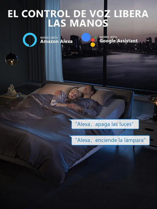Enchufe Wifi Tuya Inteligente Temporizador Alexa Google Home