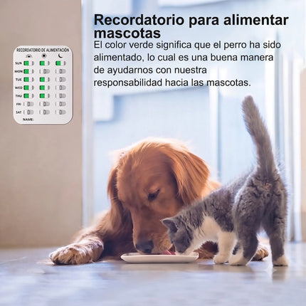 Recordatorio Alimentacion Mascota Tabla Pastilla Medicamento