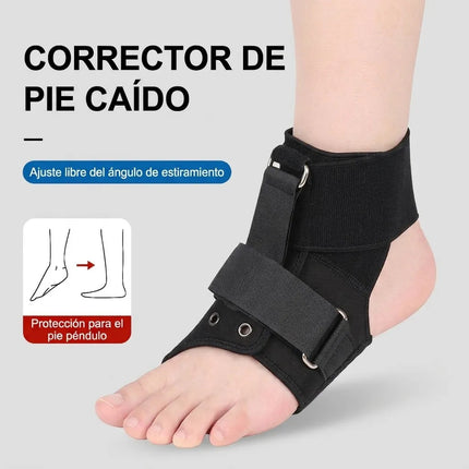 Férula Corrector Pie Caído Soporte Fasciti Plantar Ajustable