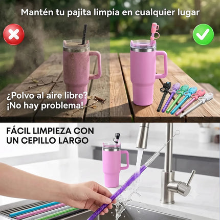 Kit 6 Popotes Brillo+6 Tapas+cepillo Para Stanley 40 30 20oz
