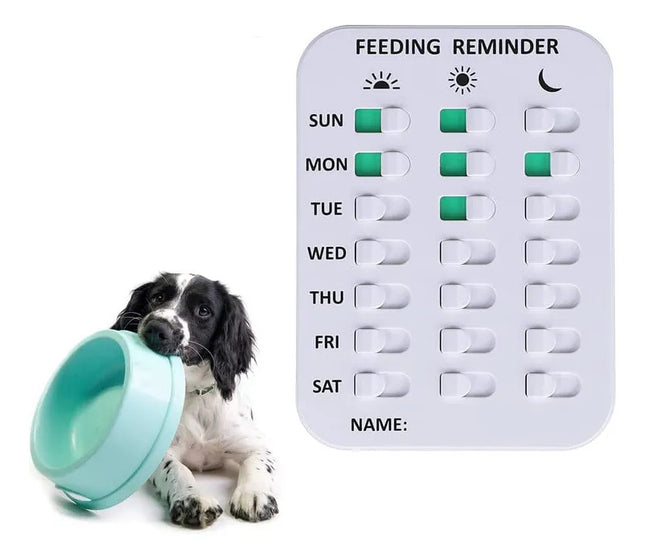 Recordatorio Alimentacion Mascota Tabla Pastilla Medicamento