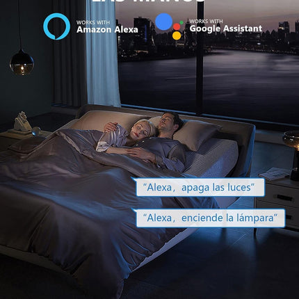 Enchufe Wifi Tuya Inteligente Temporizador Alexa Google Home